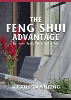 Feng Shui Advantage